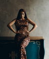 profile of Russian mail order brides Evgeniya